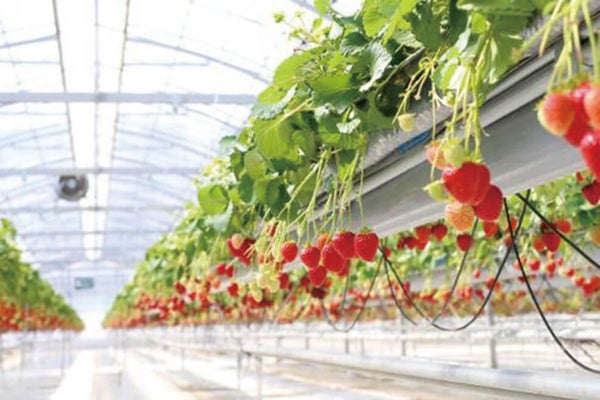 <岡山>津山城 鶴山公園とたけべの森公園【明石出発】2